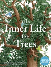 The Inner Life of Trees