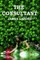 The Consultant