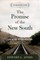The Promise of the New South