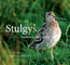 Stulgys. Užpelkėjusių pievų senbuvis