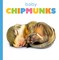 Baby Chipmunks