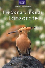 Canary Islands: Lanzarote