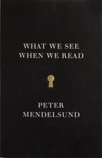 What We See When We Read