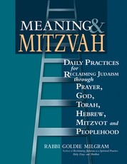 Meaning & Mitzvah
