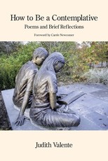 How to Be a Contemplative