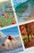 New England's Seasonal Echoes
