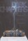 Dark Chapters