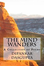 The Mind Wanders