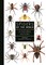 Platnick, N: Spiders of the World