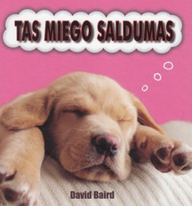 Tas miego saldumas
