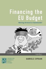 Financing the Eu Budget