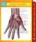 Hand Anatomy Speedy Study Guides