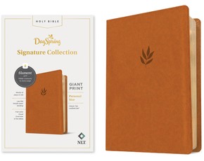NLT Personal Size Giant Print Bible, Filament Enabled Edition (Red Letter, Leatherlike, Classic Tan)