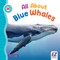 All about Blue Whales