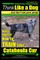 Catahoula Cur, Catahoula Cur Dog, Catahoula Cur Training - Think Like a Dog But Don't Eat Your Poop! - Catahoula Cur Breed Expert Training