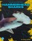 Hammerhead Sharks