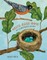 Nests, Eggs, Birds