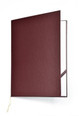 Sveikinimo aplankas STANDART bordinis