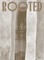 Rooted. Brasilianische Künstlerinnen / Female Brazilian Artists