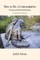 How to Be a Contemplative