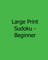 Large Print Sudoku - Beginner