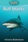 Bull Sharks