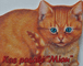 Kas pasakė „Miau“