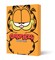 Garfield Book One
