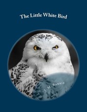 The Little White Bird