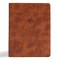 Csb Bibles By Holman: CSB Men of Character Bible, Revised an