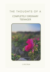 Spectrum, C: Thoughts of a Completely Ordinary Teenager