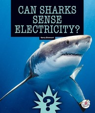 Can Sharks Sense Electricity?