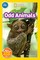 Davidson, R: Odd Animals (National Geographic Kids Readers,