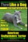 American Staffordshire Terrier, American Staffordshire Terrier Training AAA AKC