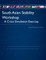 South Asian Stability Workshop