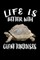 Life Is Better With Giant Tortoises