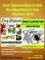 Comic Illustration Books For Kids: Short Moral Stories For Kids - Dog Humor Books: 2 In 1 Box Set: Fart Book
