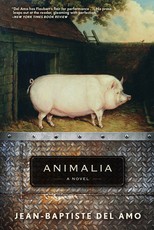 Animalia