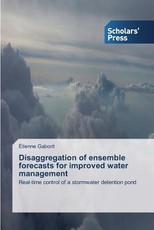 Disaggregation of ensemble forecasts for improved water management