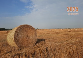 Sieninis kalendorius 2025 m. RUGIAPJŪTĖ (1 mėn.)