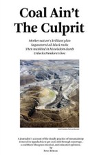 Coal Ain't The Culprit