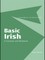 Basic Irish: A Grammar and Workbook