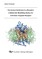 The Human Histamine H3-Receptor: A Molecular Modelling Study of a G-Protein Coupled Receptor