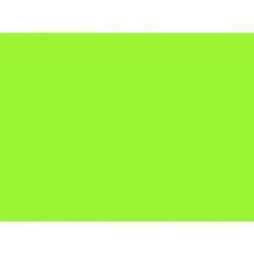 Spalvotas popierius 80g A4/100l Fluo žalias