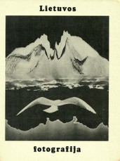 Lietuvos fotografija (1981-1982)