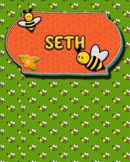 Handwriting Practice 120 Page Honey Bee Book Seth