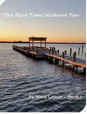 First Time Without You