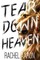 Tear Down Heaven