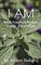 I Am Wealth, Prosperity & Abundance Positive Affirmations