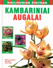 Kambariniai augalai (2005)